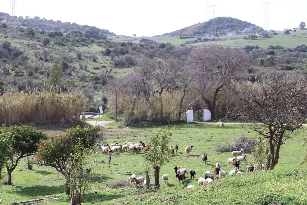 Finca Santa Teresa, Casa Del Rio Villa Casares 0*,